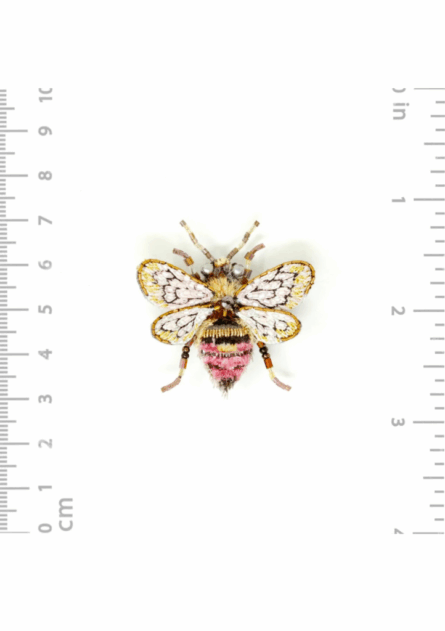 Broche Bombus Bee – Image 3