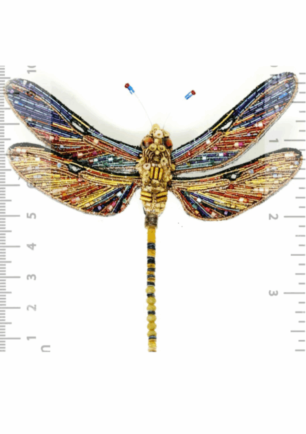 Broche Brown Hawker Dragonfly (Small) – Image 4