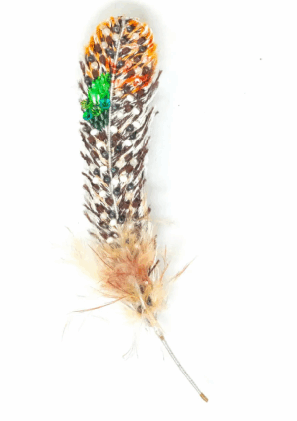 noir-animal-broche-trovelore-heart-peacok-pheasant-feather-brooch-pin
