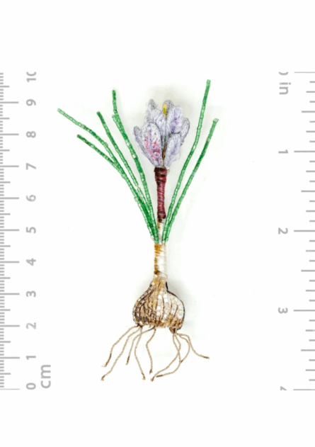 Broche Saffron Crocus – Image 3