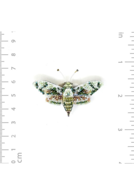 Broche Hawk Moth – Image 4