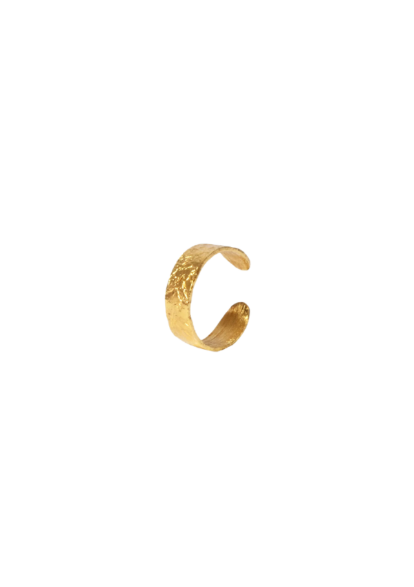 noir-animal-boucle-d-oreille-april-please-bague-d-oreille-martelee-edmond-doree